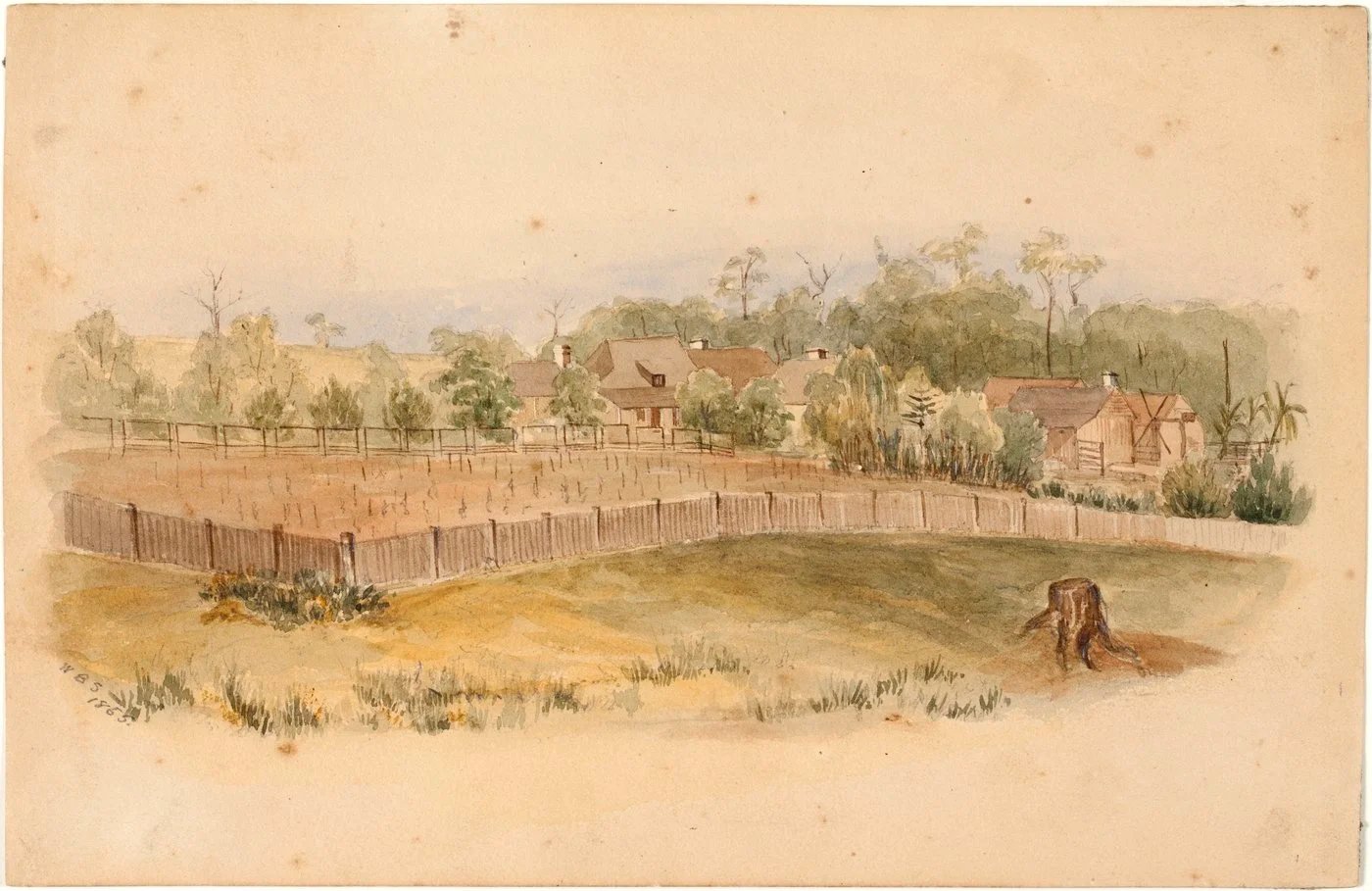 Residence of George Suttor showing the first vineyard and orangery, 1855